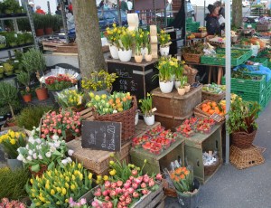 Old Town Wooden Bridge