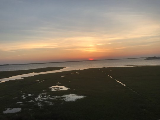 TWRJZrS8R16LDf3wQtFfaQ